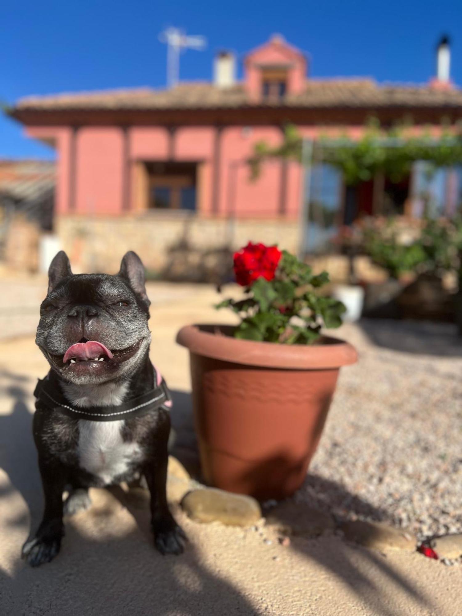 Villa Tranquila Lagunas De Ruidera Ossa de Montiel Zewnętrze zdjęcie